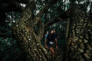 BIB: 
                            <button type="button" onclick="openModal(25678703)" class="btn btn-primary btn-sm float-right btn-popup" data-toggle="modal" data-target=".modal-high-quality">
                        <i class="fas fa-shopping-cart"></i> Add to Cart
                    </button>
                                            <button type="button" onclick="isThisMe(25678703, true)" class="btn btn-success btn-sm float-right btn-popup btn-isme hidden" data-toggle="tooltip" data-placement="bottom" title="นี่คือรูปของคุณใช่ไหม คลิกที่นี่เพื่อเอาเข้าอัลบั้ม">
                        <i class="fas fa-plus"></i> Add to album
                    </button>
                    <button type="button" onclick="isThisMe(25678703, false)" class="btn btn-warning btn-sm float-right btn-popup btn-isnotme hidden">
                        <i class="fas fa-ban"></i> Remove from album
                    </button>